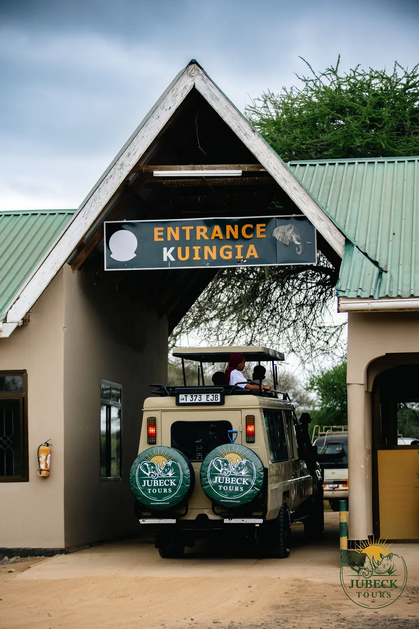 Packing for Safari: What to Bring (and Leave Behind)